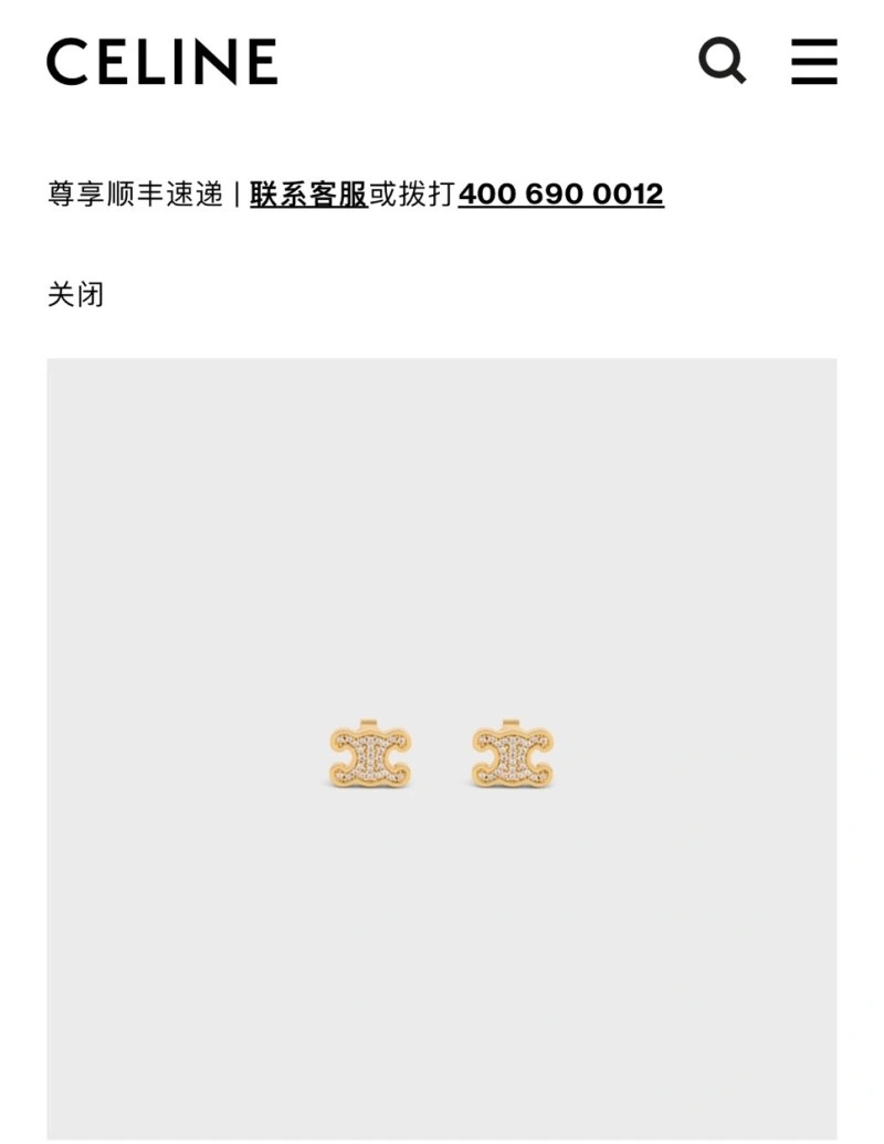 Upgraded Celine Earrings 217913