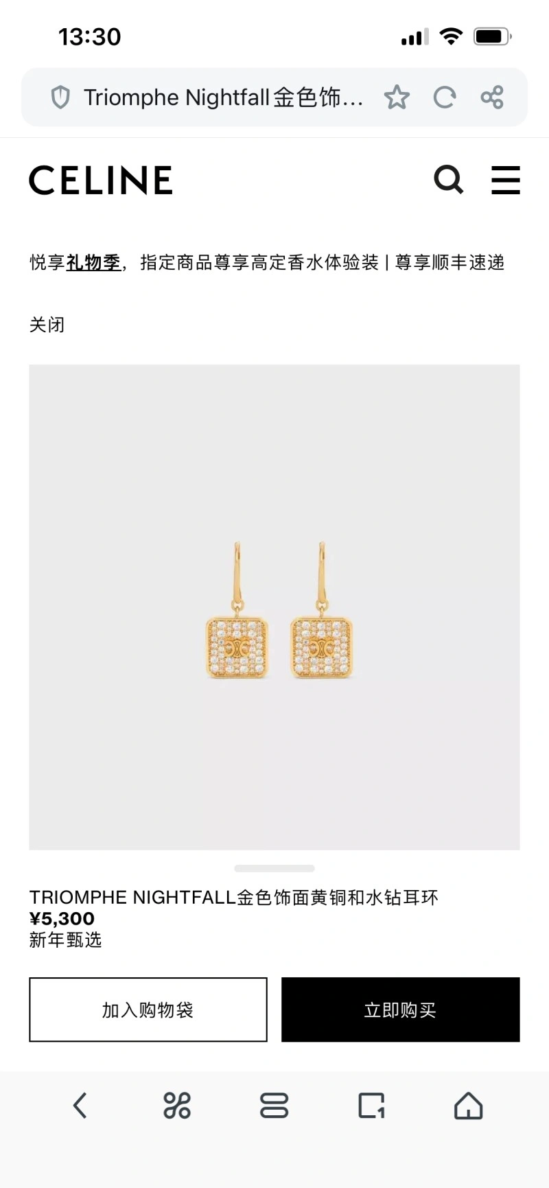 Celine Earrings SoftTouch 217909