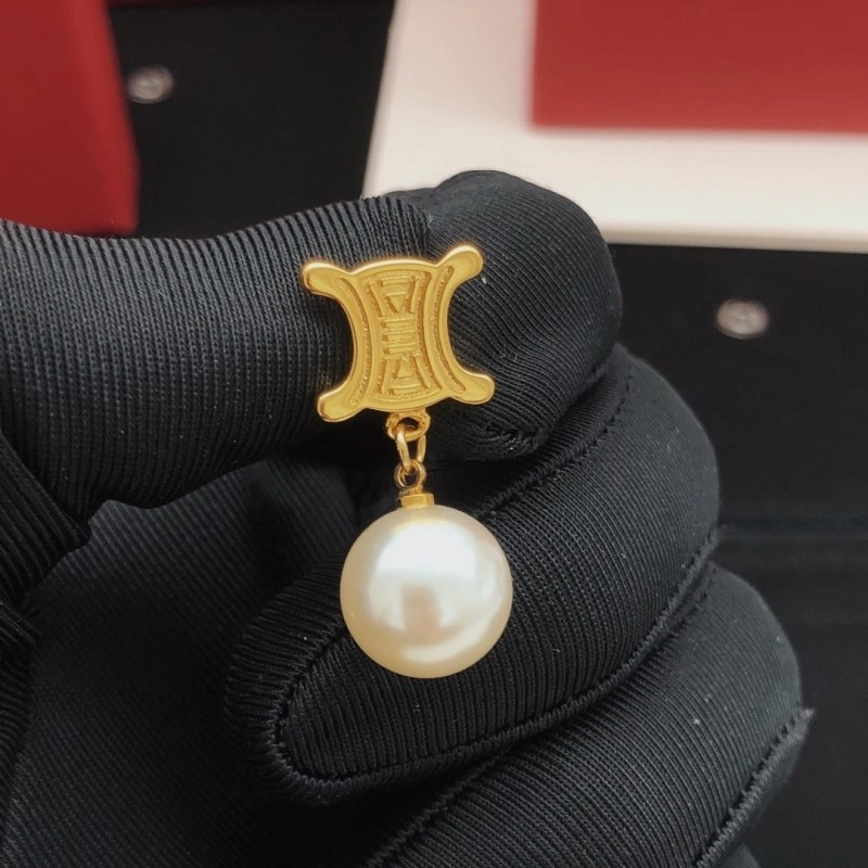 Attractive Celine Earrings 217941