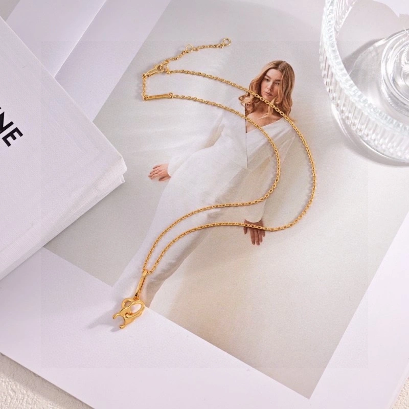 Stylish Celine Earrings 217895
