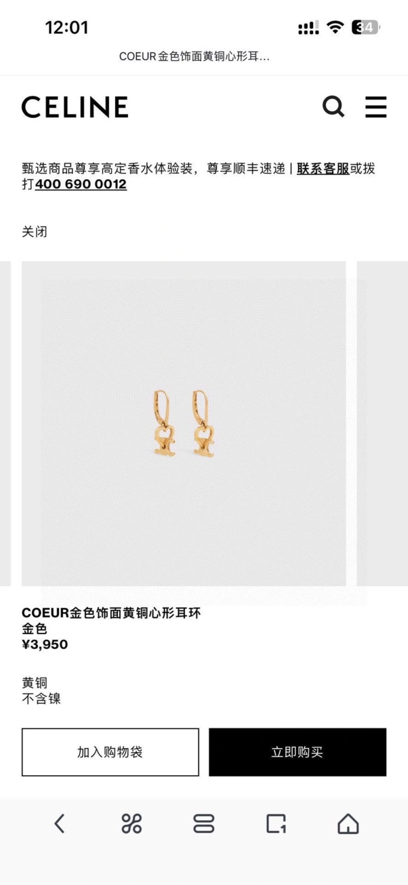 Stylish Celine Earrings 217895