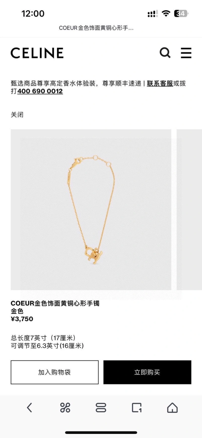Stylish Celine Earrings 217895