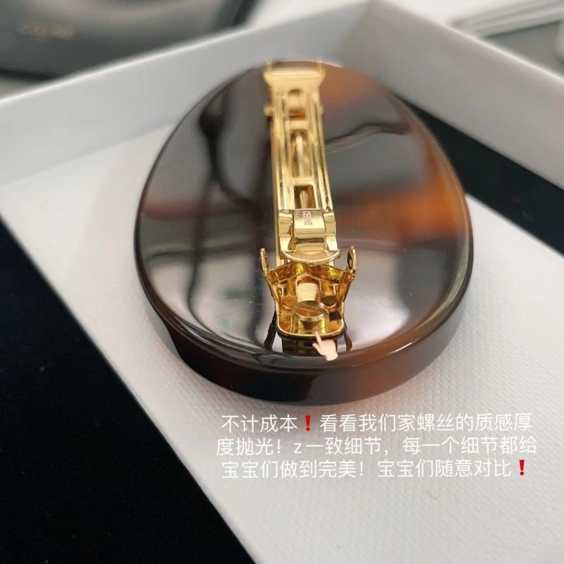 MultiPurpose Celine Hairpins 218698