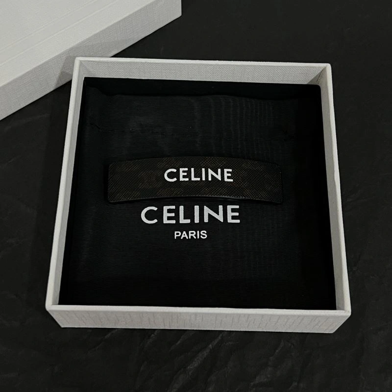 Contemporary Celine Hairpins 218544