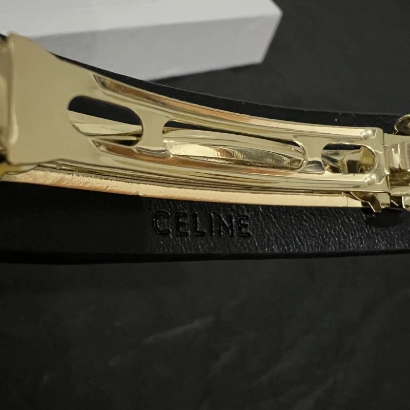 Contemporary Celine Hairpins 218544