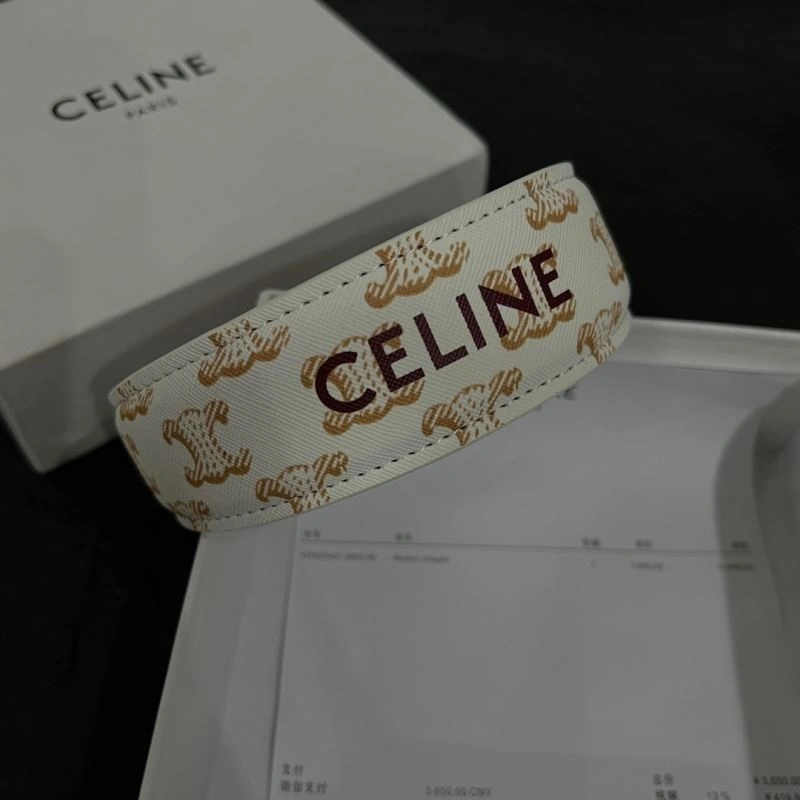 Colorful Celine Hairpins 218550