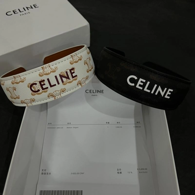 Colorful Celine Hairpins 218550