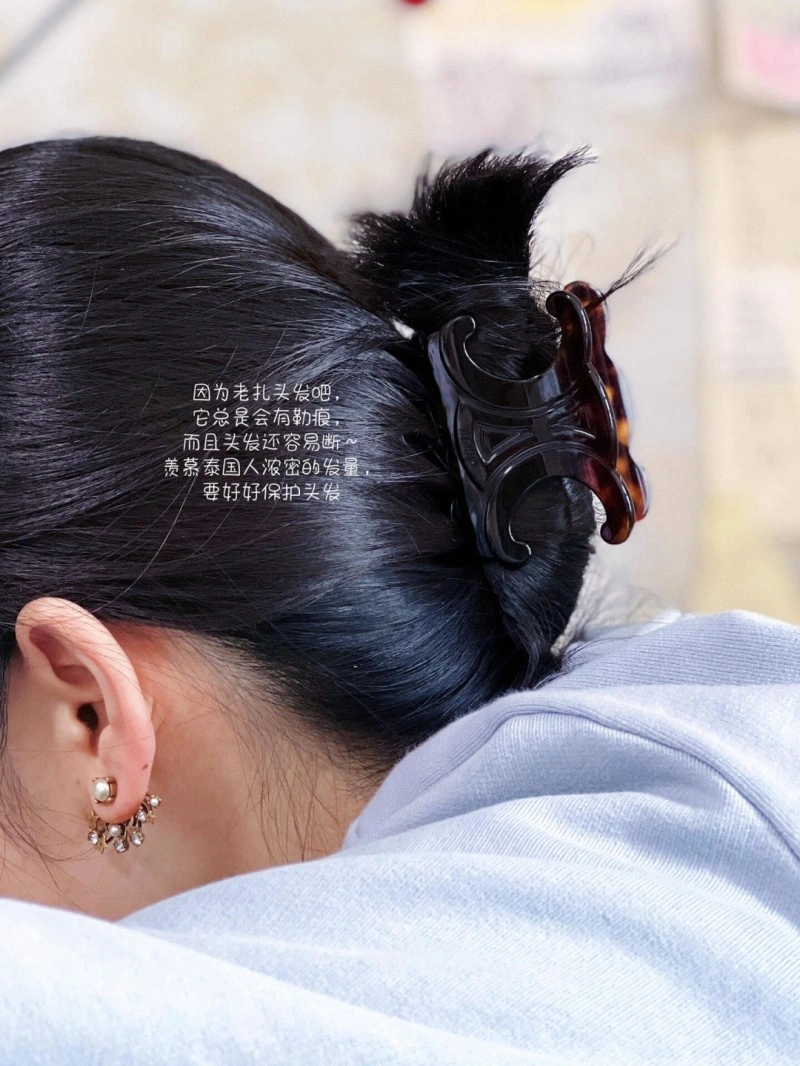 HighPerformance Celine Hairpins 217868