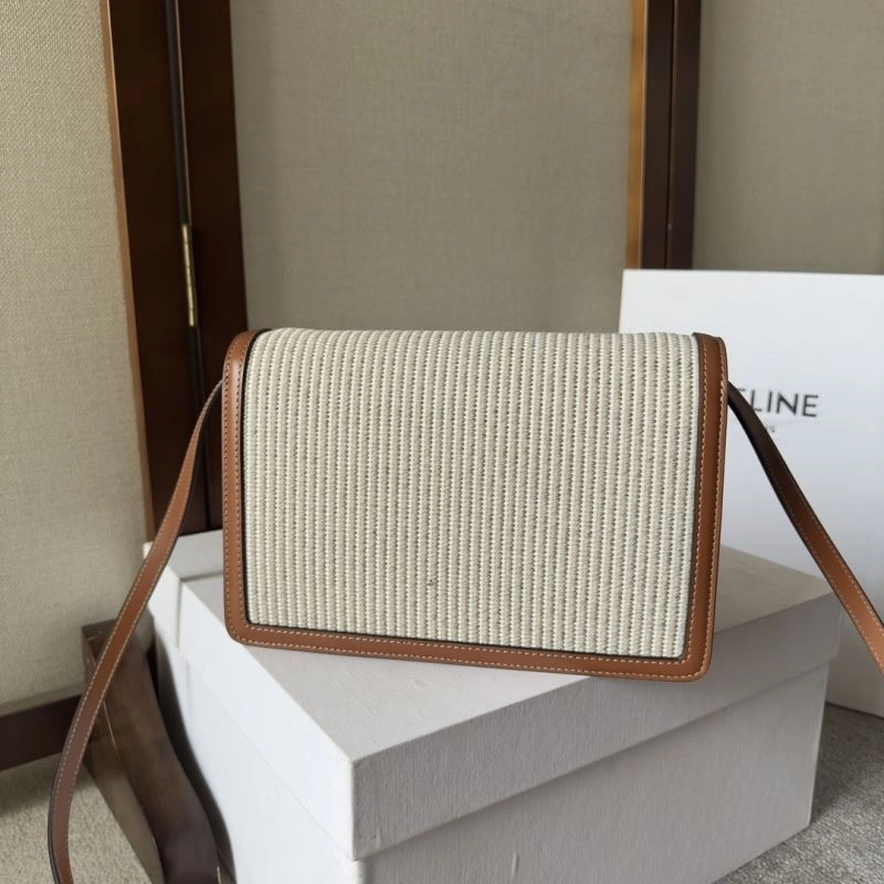Chic Celine Satchel Bags 67473