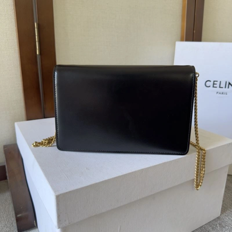Chic Celine Satchel Bags 60494