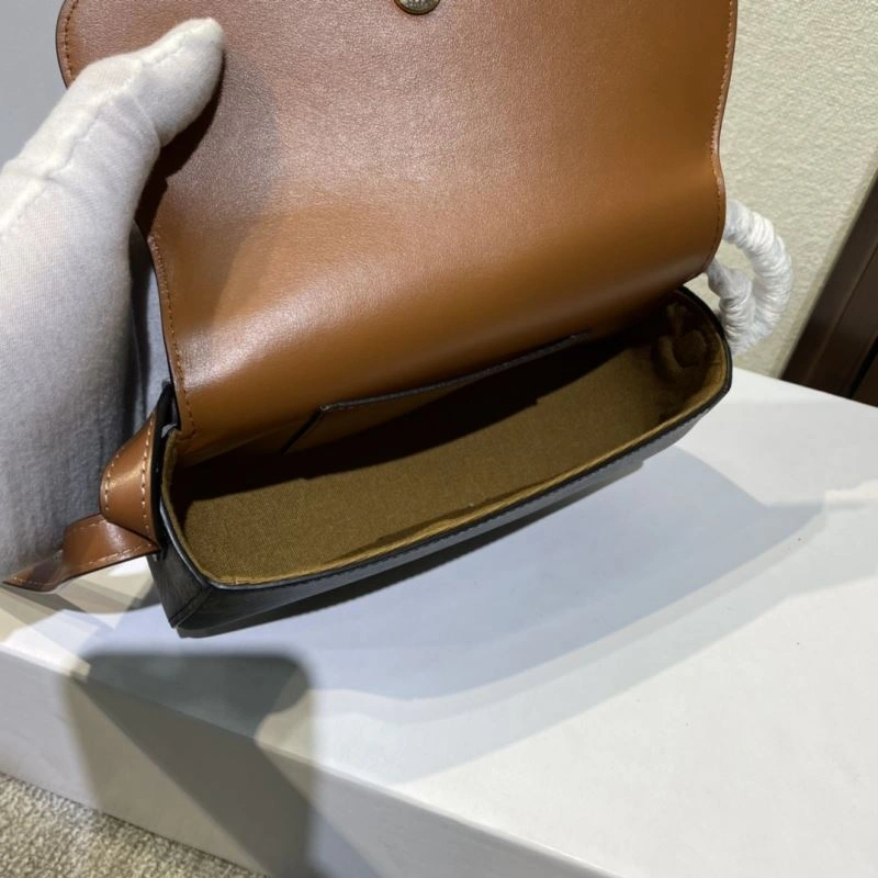 Sleek Celine Satchel Bags 60422