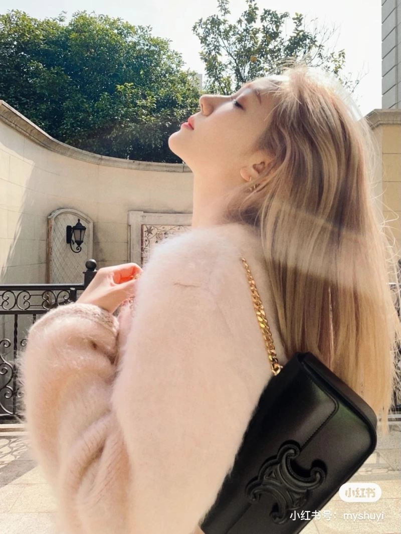 Versatile Celine Satchel Bags 60389