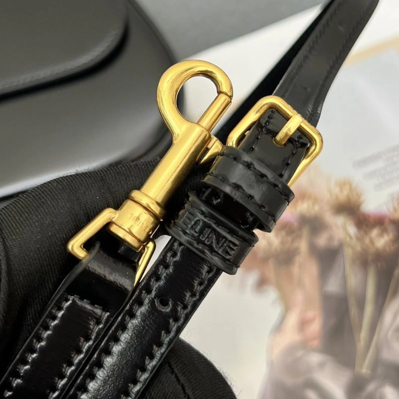 Youthful Celine Satchel Bags 84559