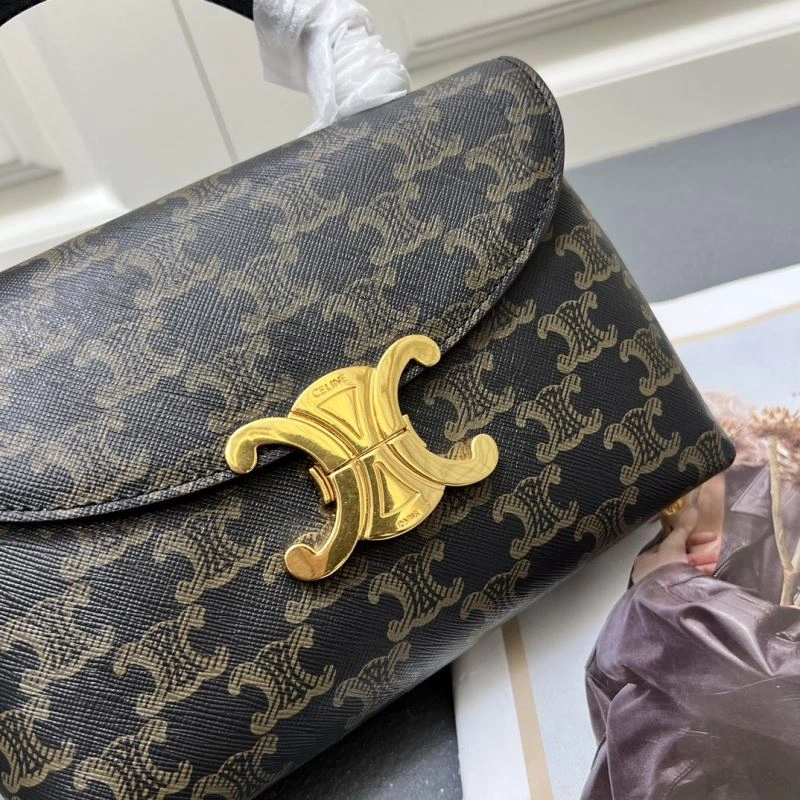 Cozy Celine Satchel Bags 84483