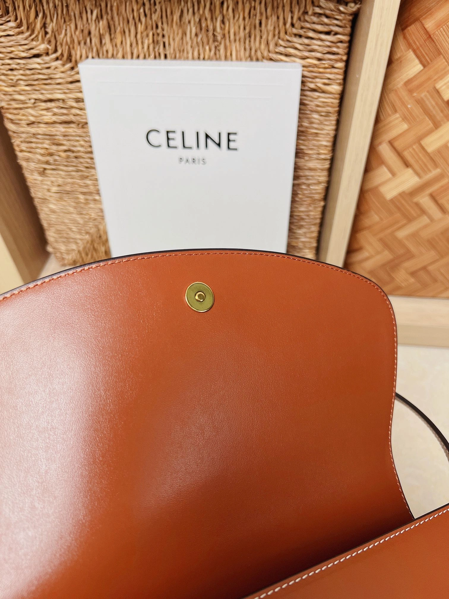 Celine Satchel Bags Seasonal 78493