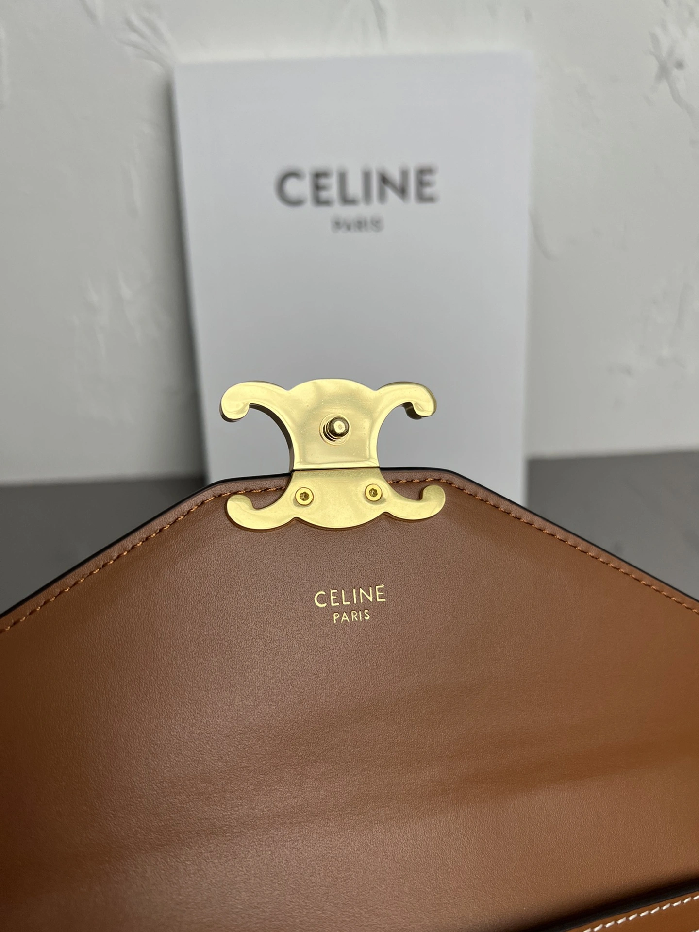 Resilient Celine Satchel Bags 78479