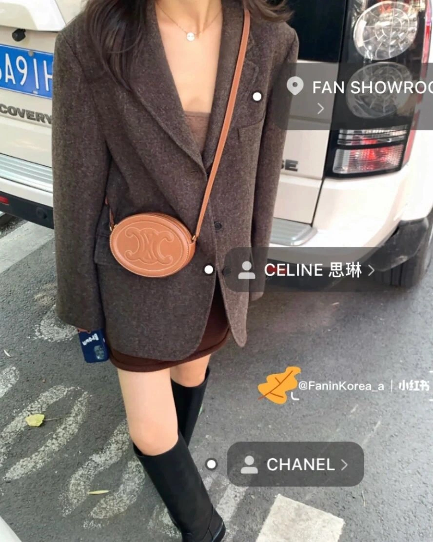 ZipUp Celine Satchel Bags 78454