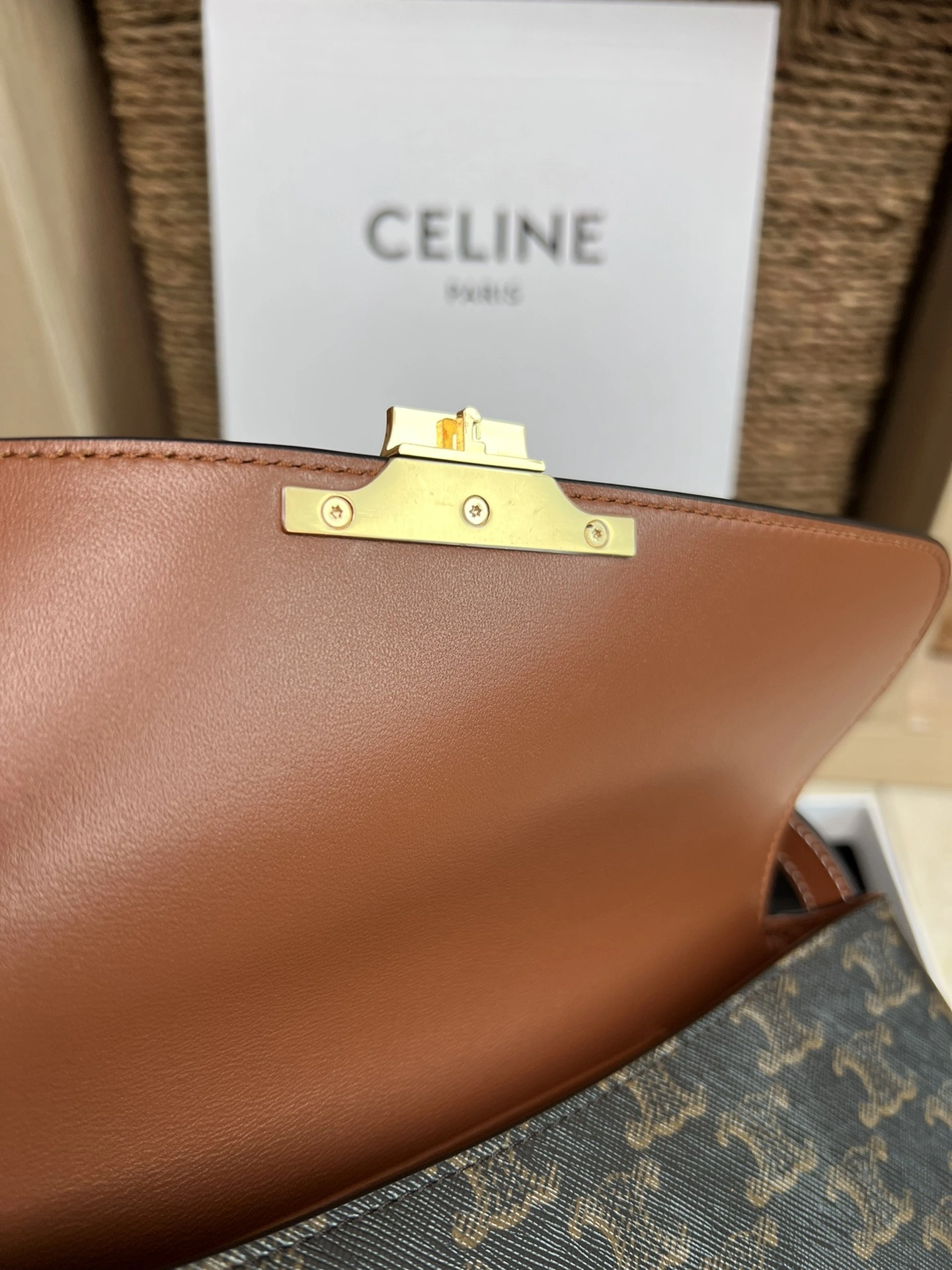 Chic Celine Satchel Bags 73685