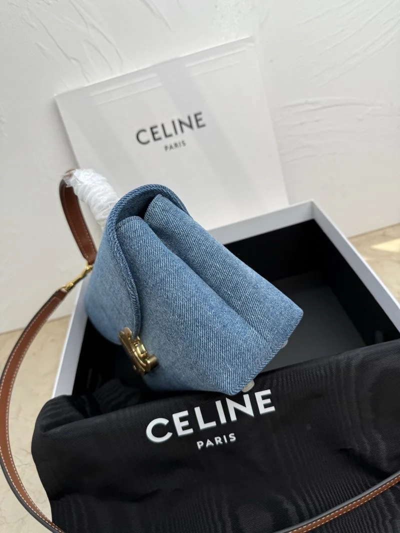 Chic Celine Satchel Bags 51588