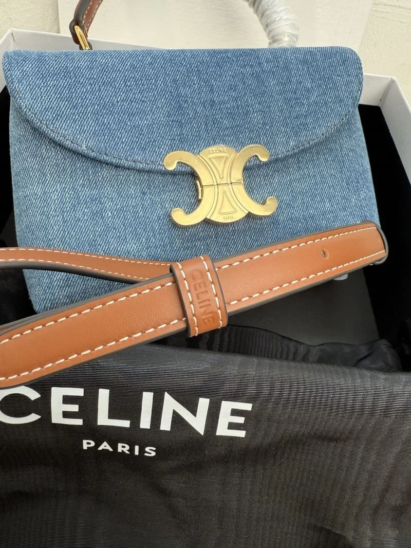 Chic Celine Satchel Bags 51588