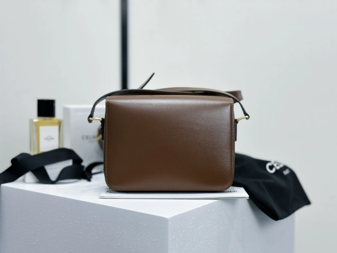 Celine Satchel Bags Affordable 94586