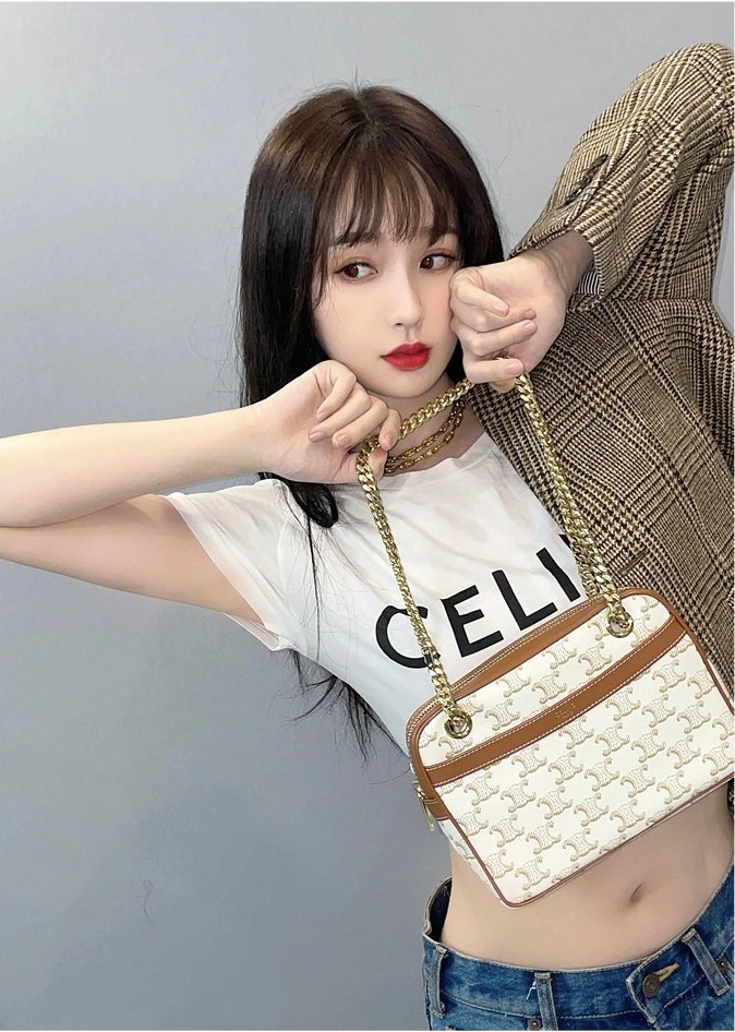 Celine Satchel Bags Compact 94585