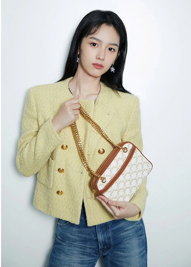 Celine Satchel Bags Compact 94585