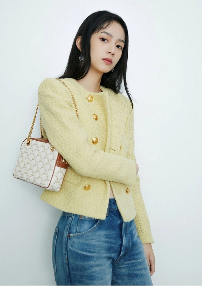 Celine Satchel Bags Compact 94585