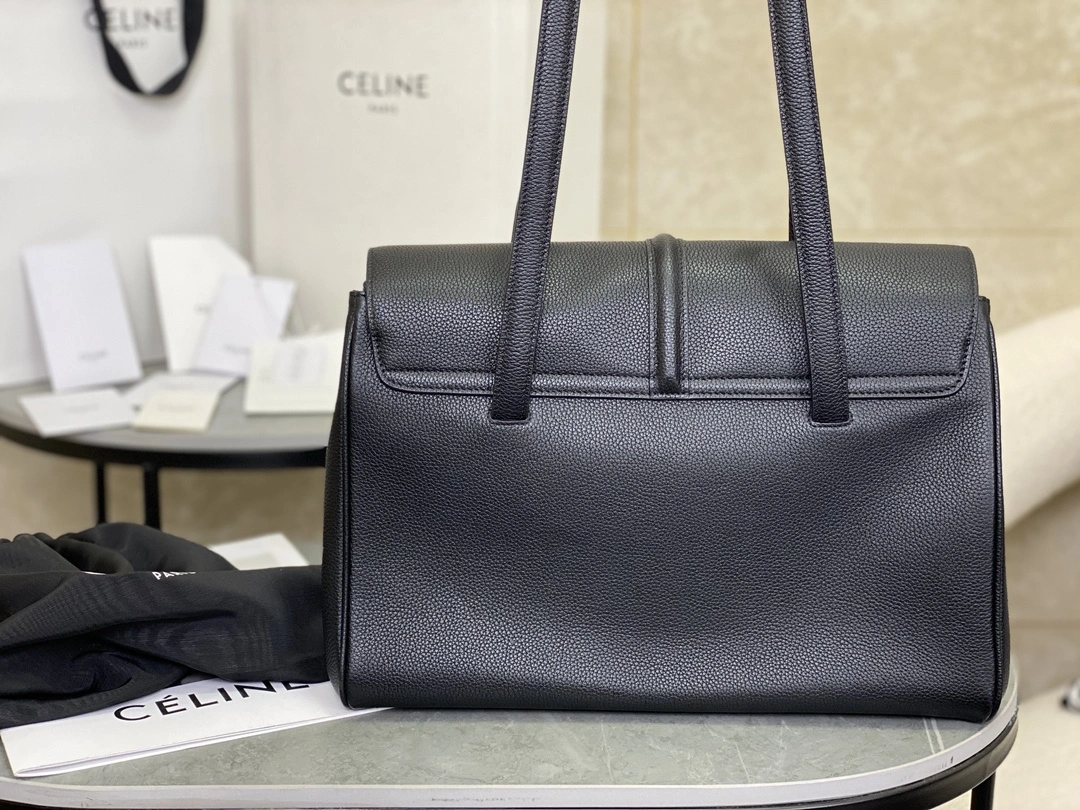 Celine Satchel Bags Trendy 94559