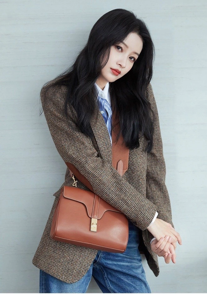Celine Satchel Bags Neat 94557
