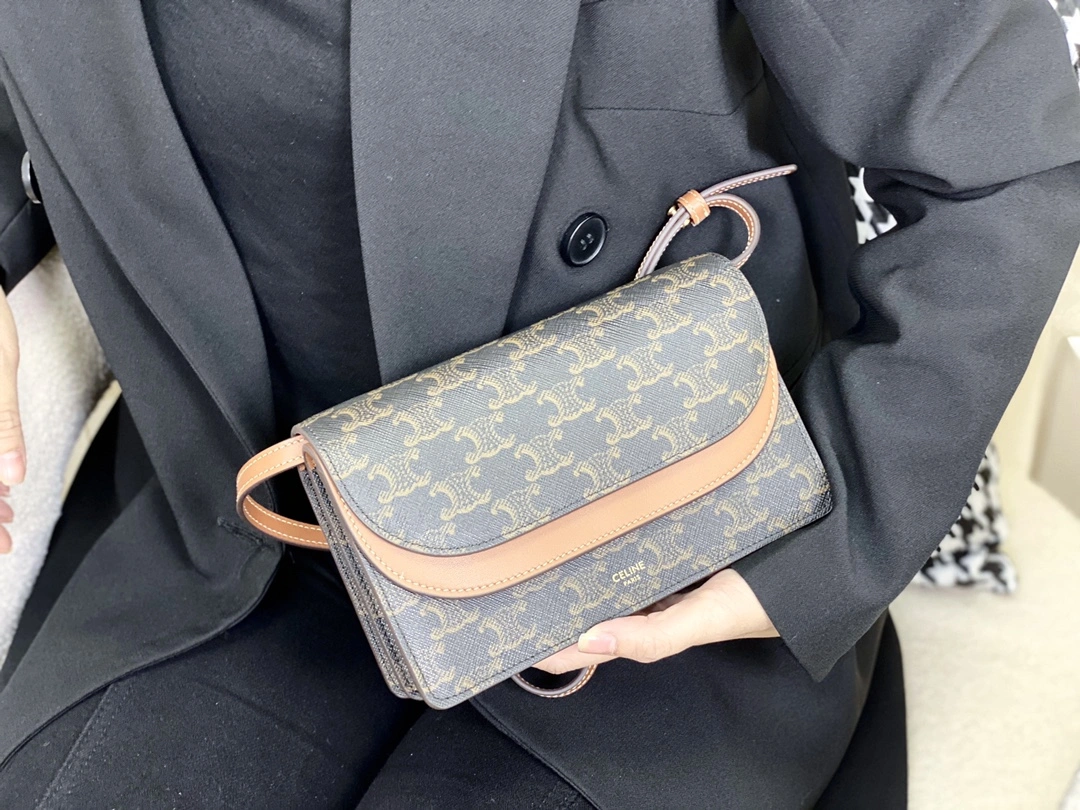 Celine Satchel Bags AllSeason 94556