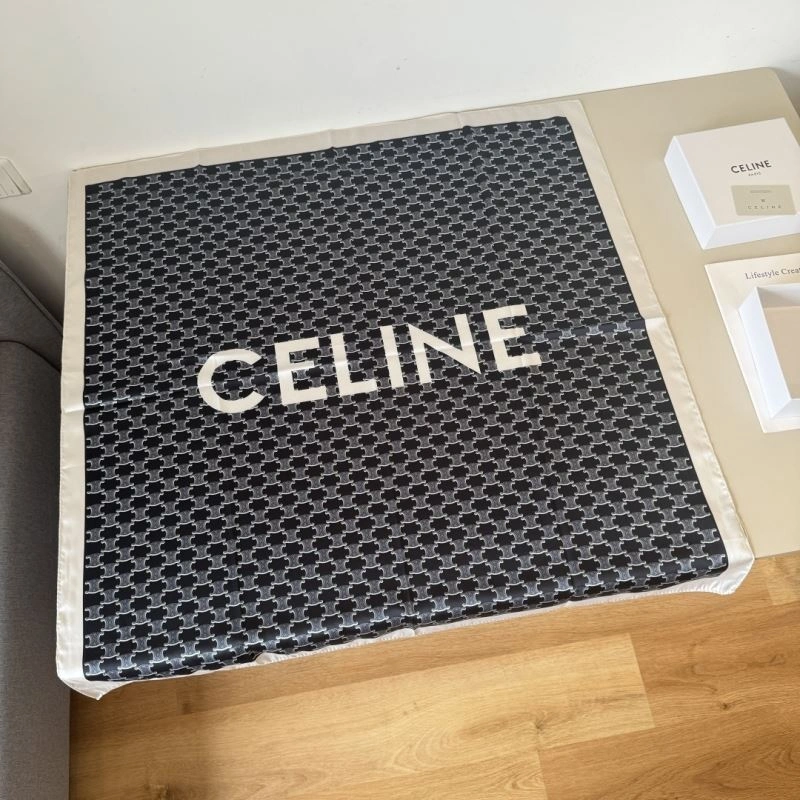 Contemporary Celine Scarf 270829