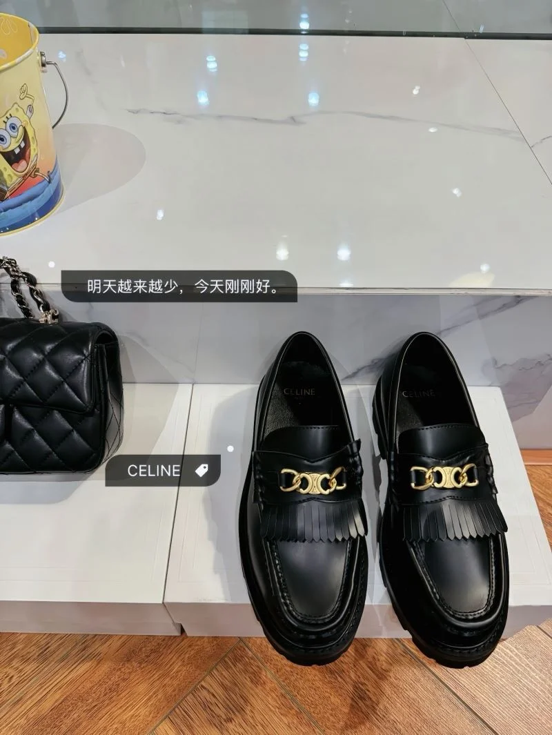 WellDesigned Celine Shoes 15894