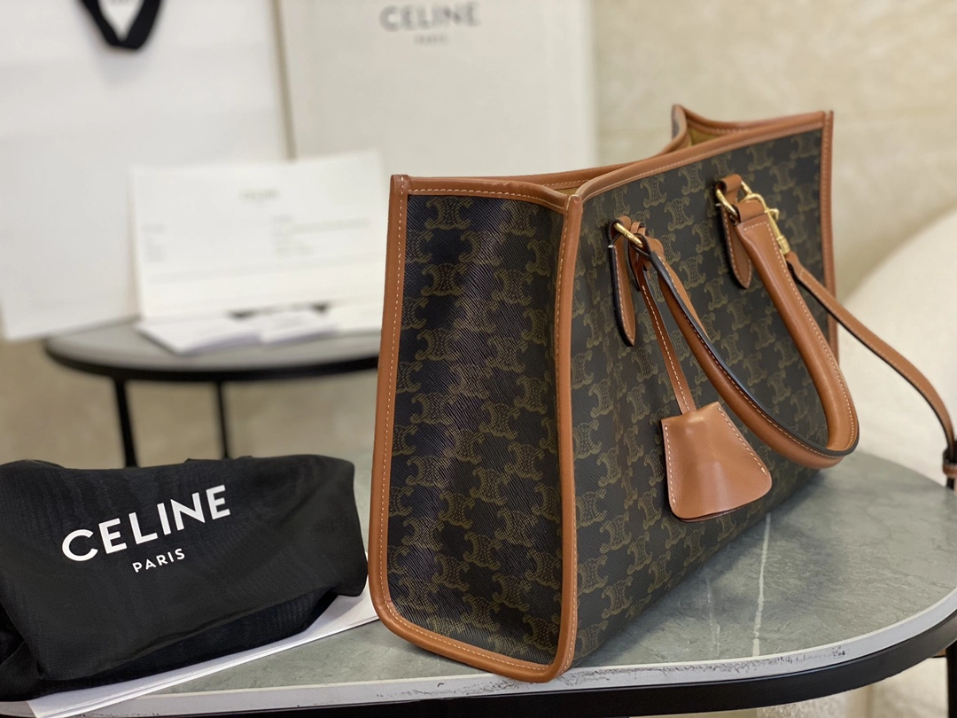 Celine Shopping Bags Colorful 94532