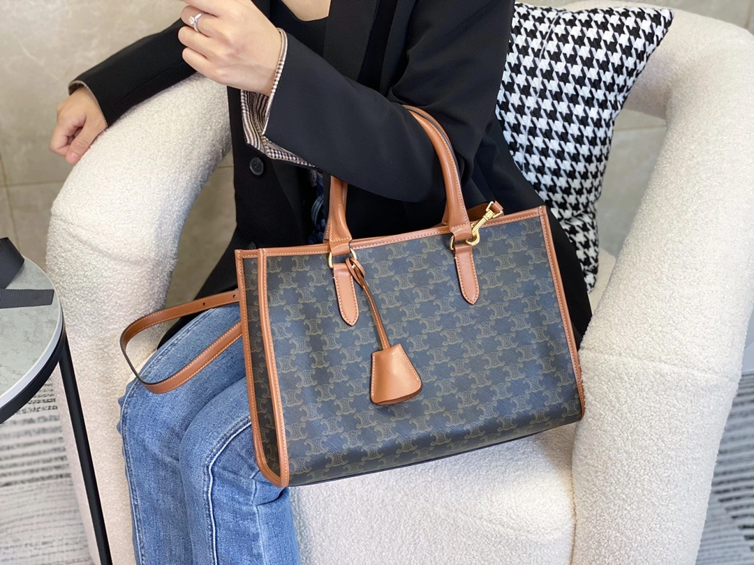 Celine Shopping Bags Colorful 94532
