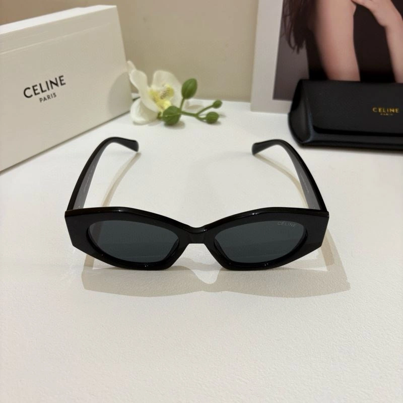 Celine Sunglasses Functional 277806
