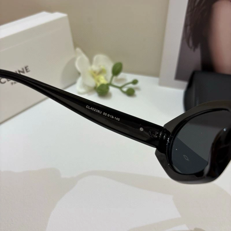 Celine Sunglasses Functional 277806