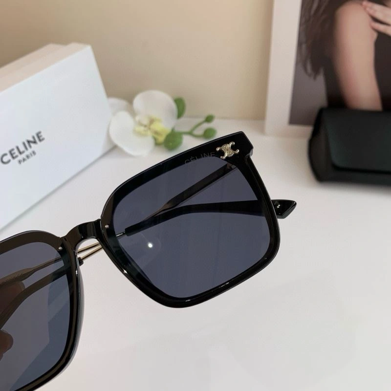 Celine Sunglasses BestValue 277789