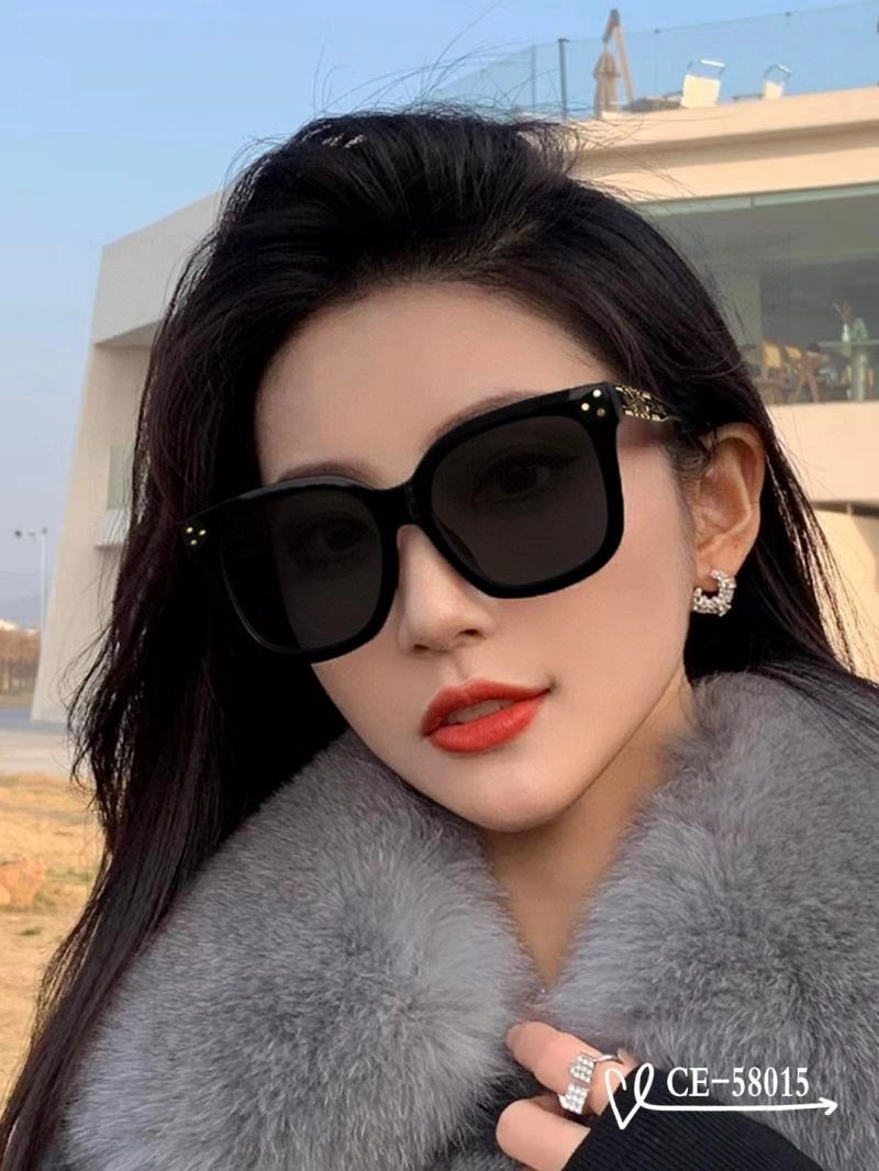 TravelReady Celine Sunglasses 277755