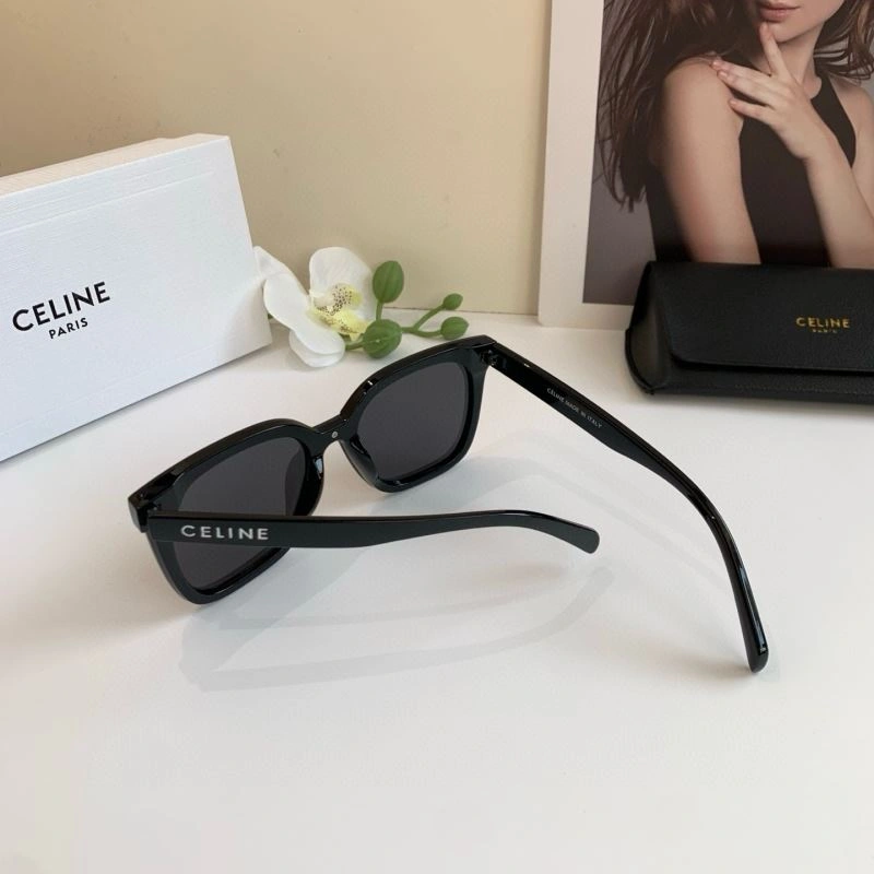 Celine Sunglasses Fashionable 277744