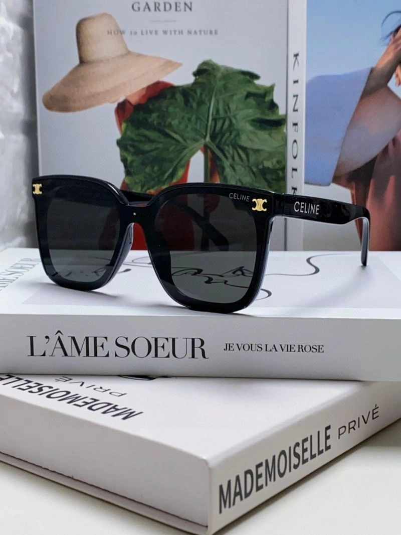 Celine Sunglasses EasyCare 277866