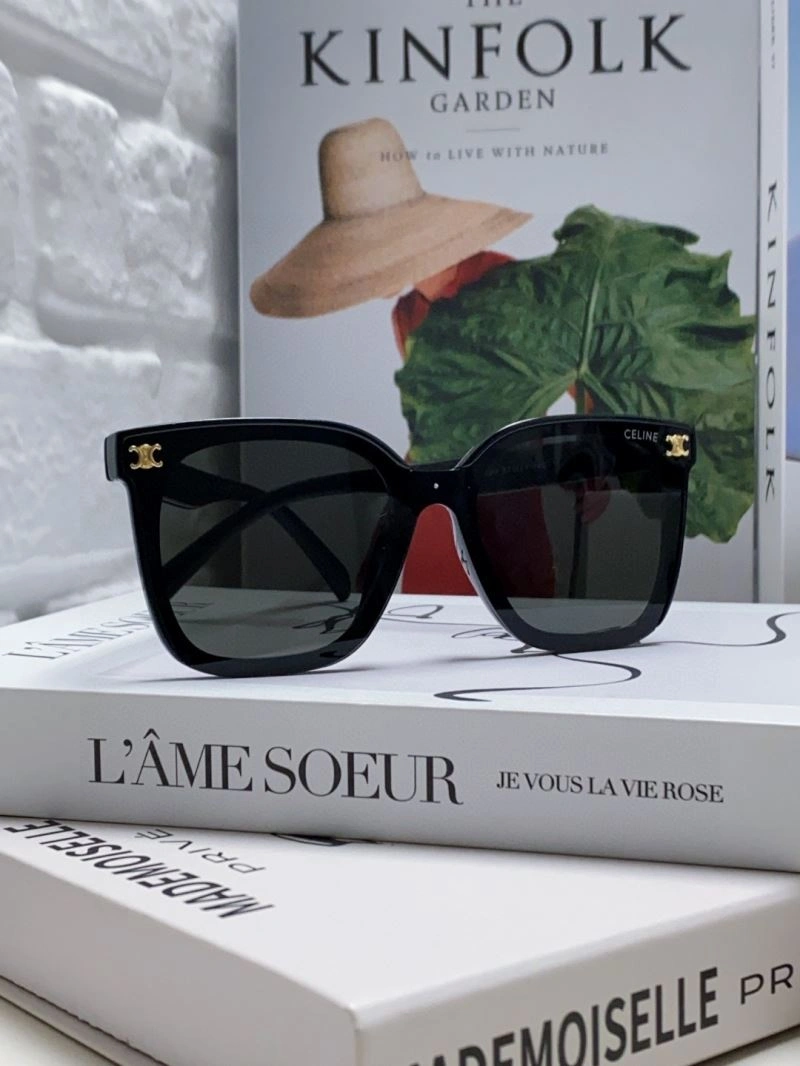 Celine Sunglasses EasyCare 277866