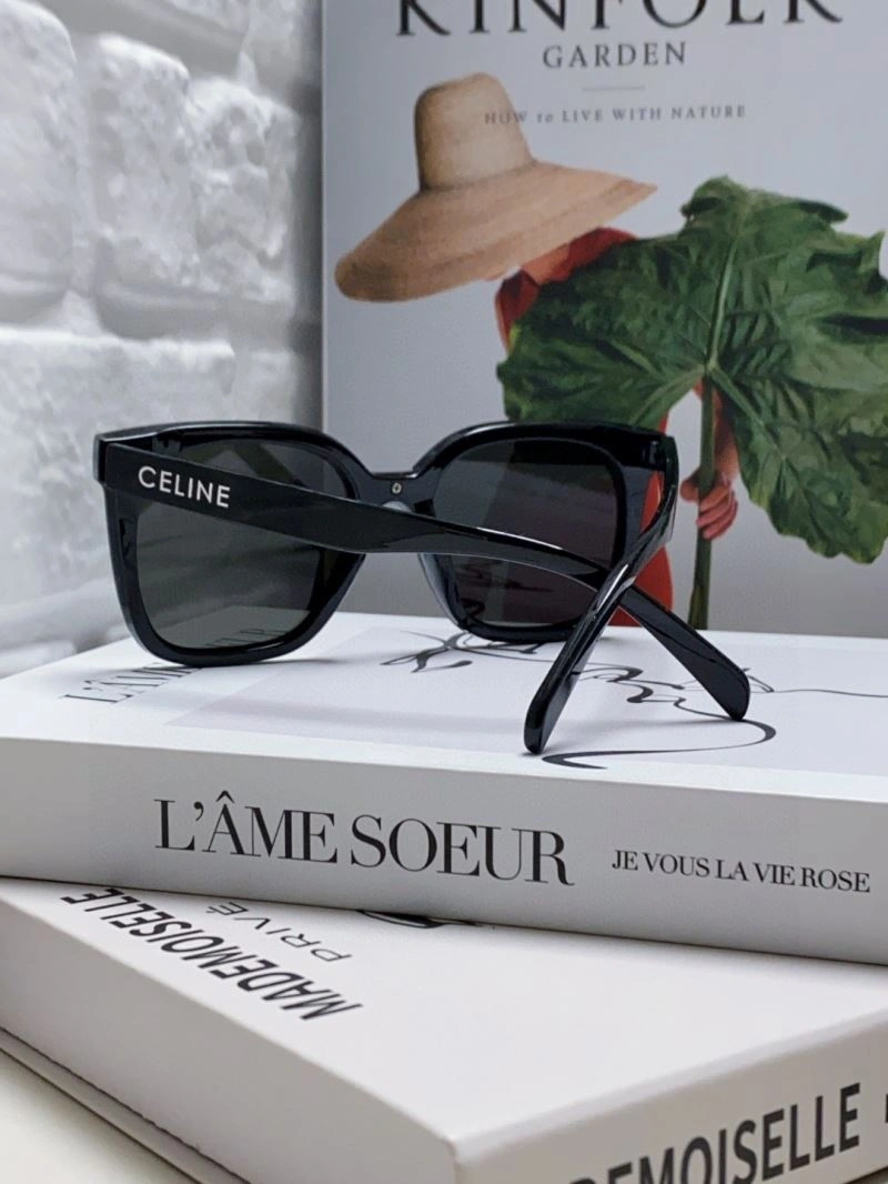 Celine Sunglasses EasyCare 277866