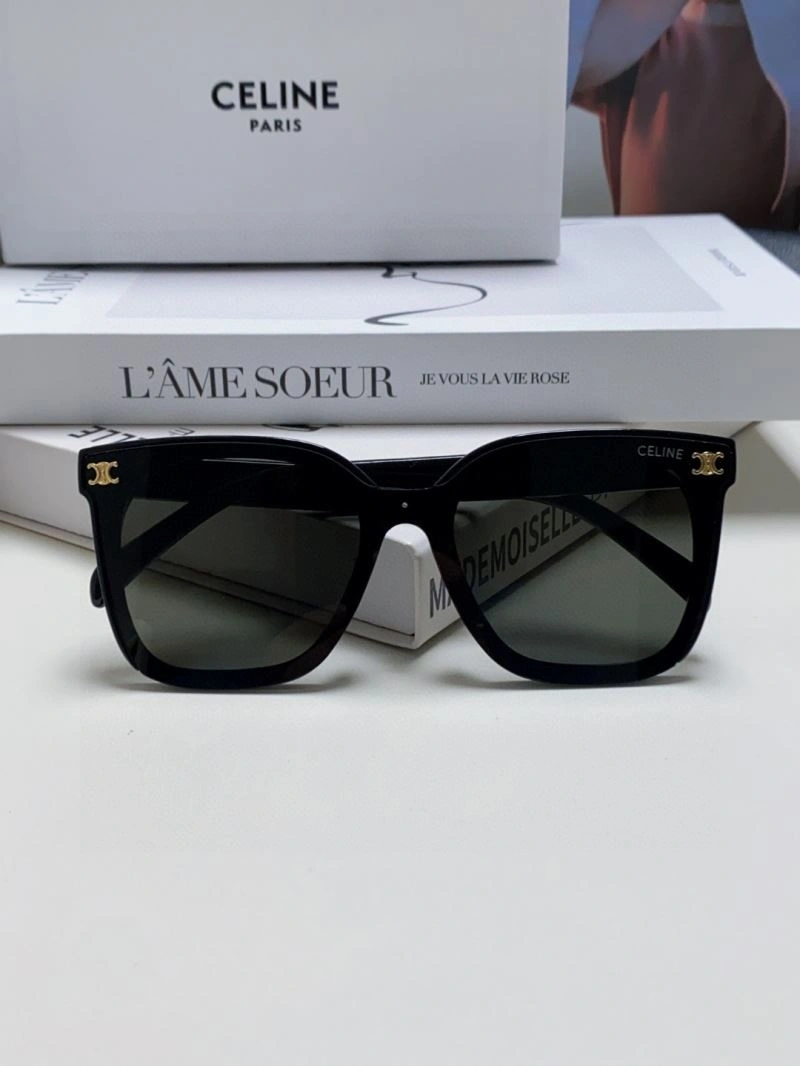 Celine Sunglasses EasyCare 277866