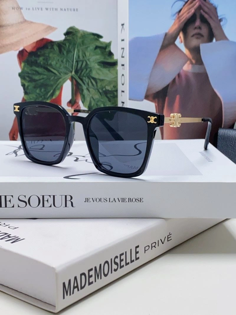 Thermal Celine Sunglasses 277815