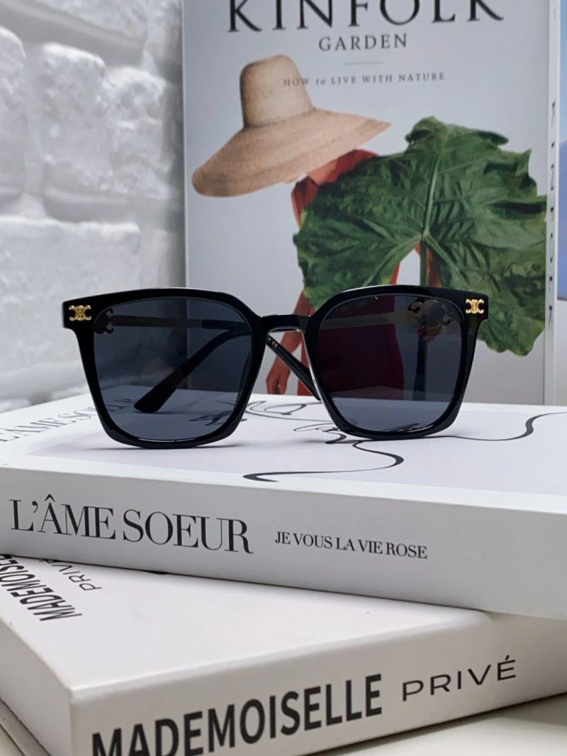 Thermal Celine Sunglasses 277815