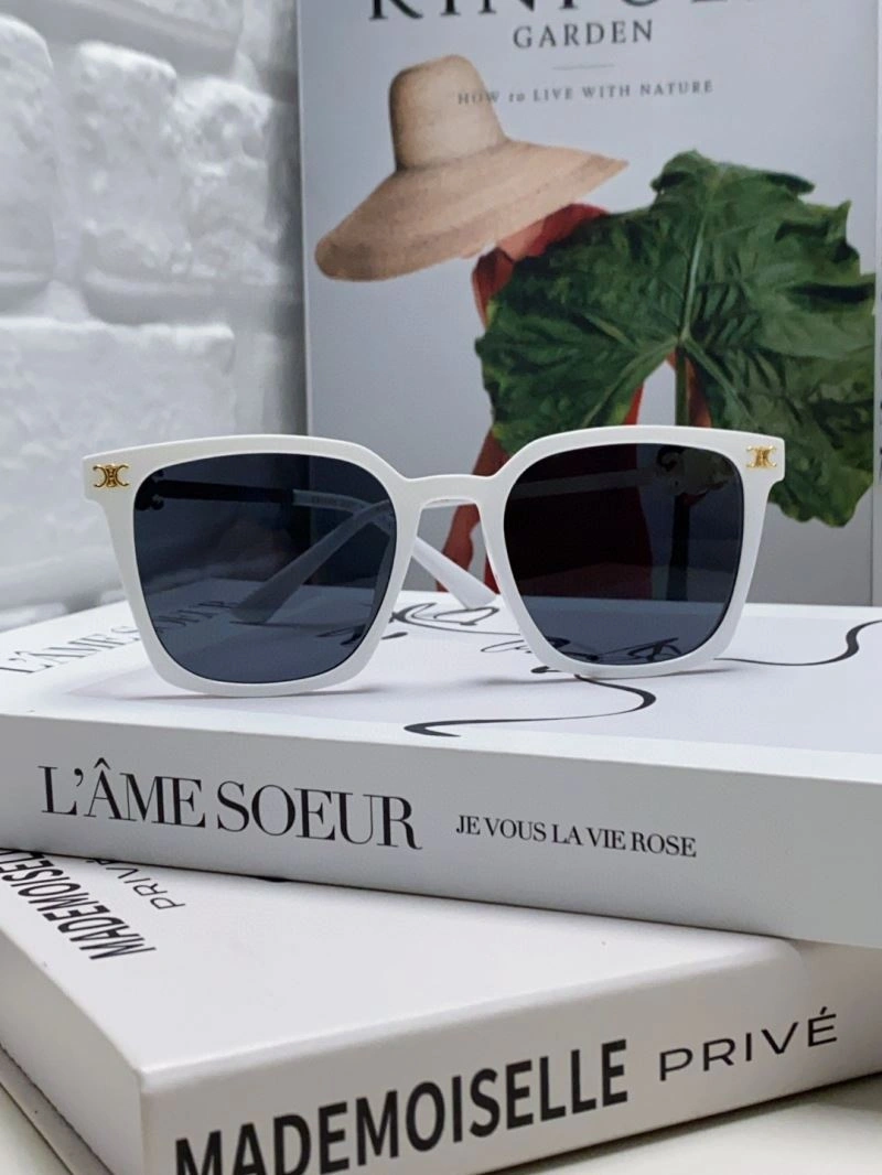 Supportive Celine Sunglasses 277821