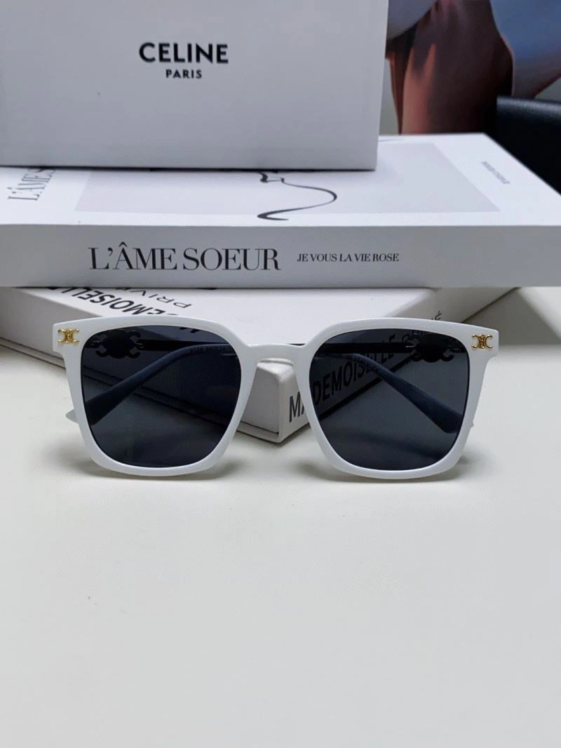 Supportive Celine Sunglasses 277821