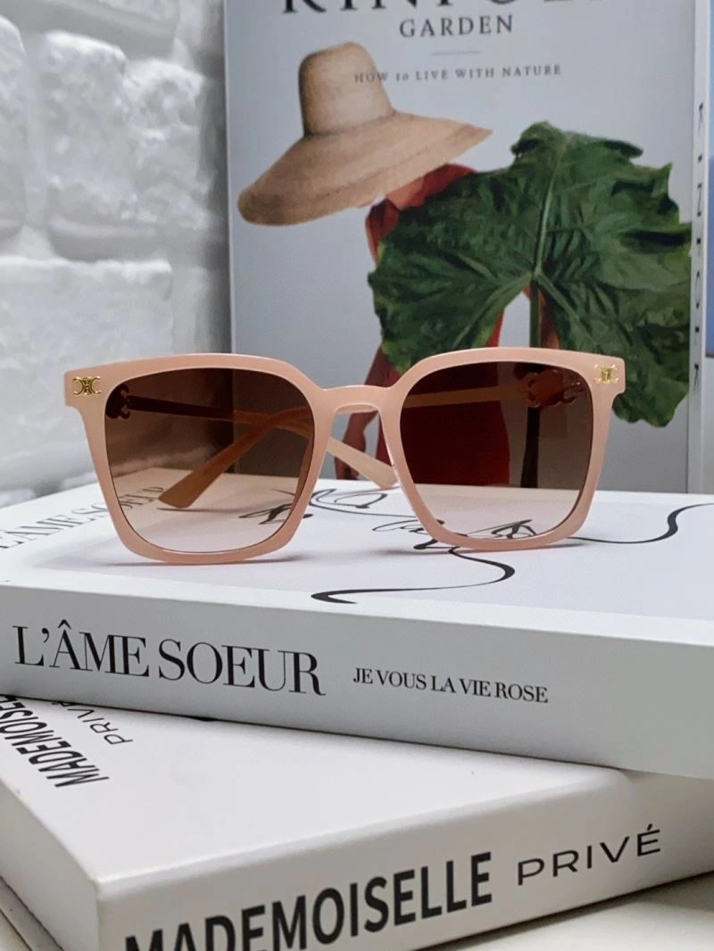 Celine Sunglasses Colorful 277818