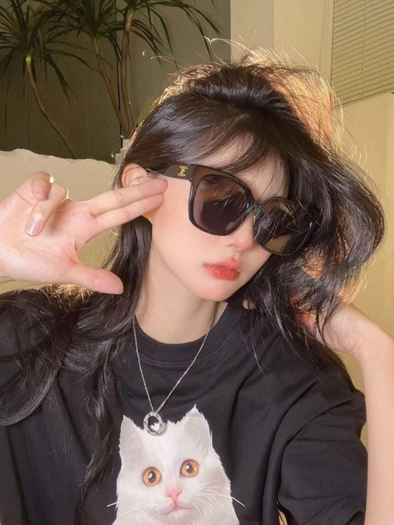 Modern Celine Sunglasses 277843